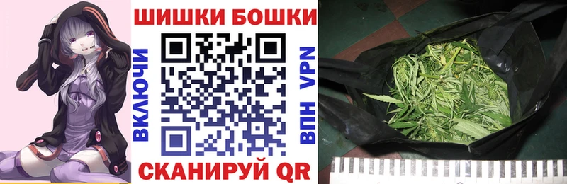 Купить Сухой Лог Бошки Шишки семена